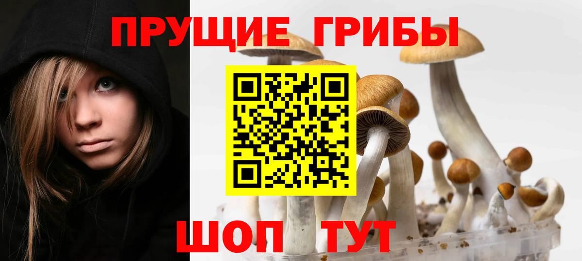 Галлюциногенные грибы Cubensis  Вход с VPN  Воскресенск 
